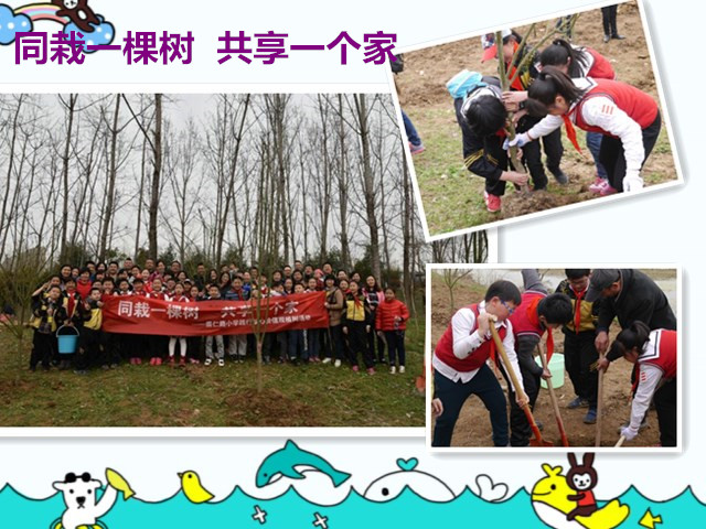 树1.jpg